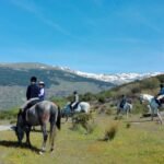 IMG_20160523_110141-1-870x555