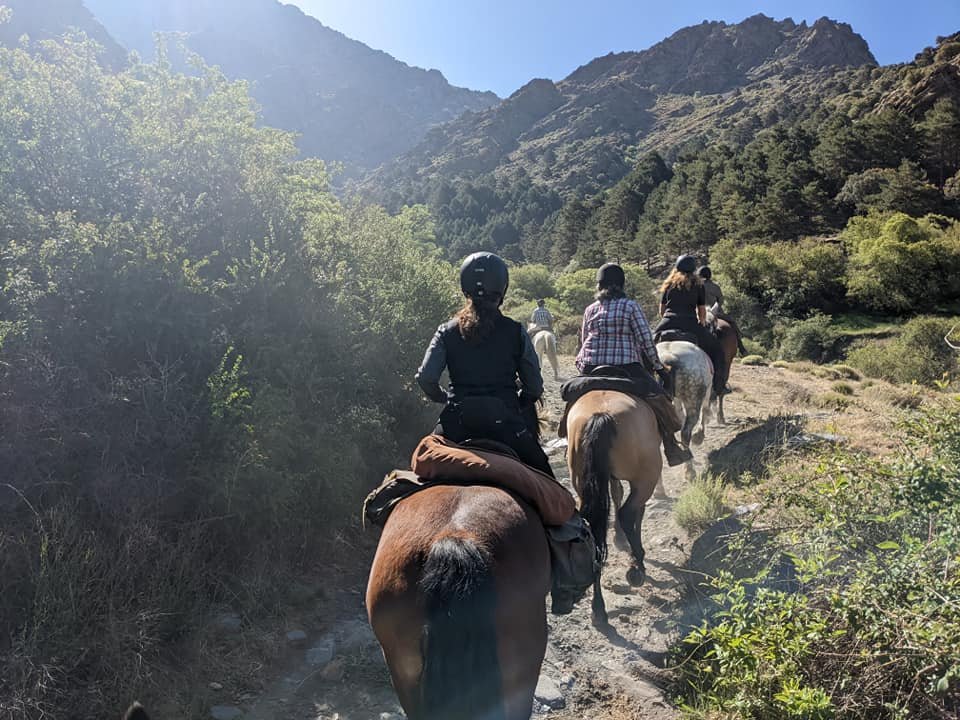 Agencias de turismo